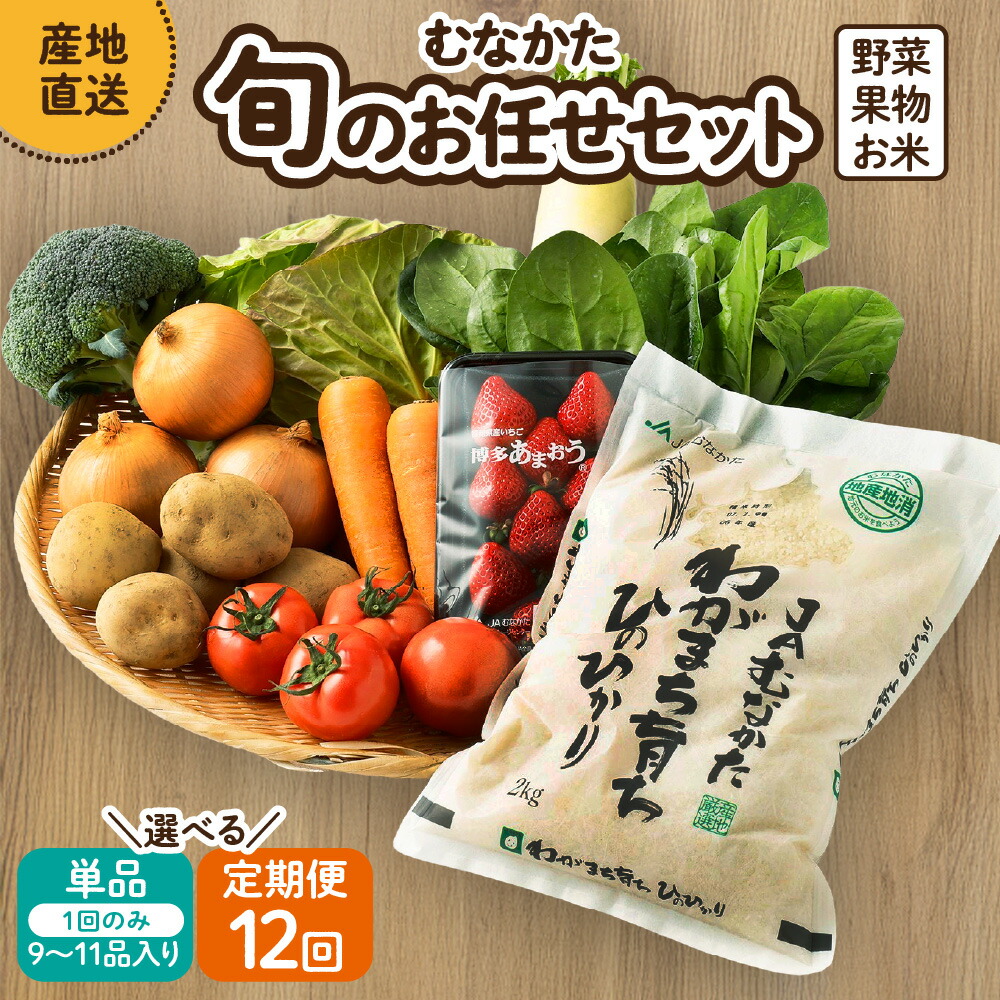 【ふるさと納税】【レビューCP対象】むなかた旬のお任せセット(野菜・フルーツ・お米／9～11品)【1回お届け／定期便（年12回）】【ほたるの里】　送料無料