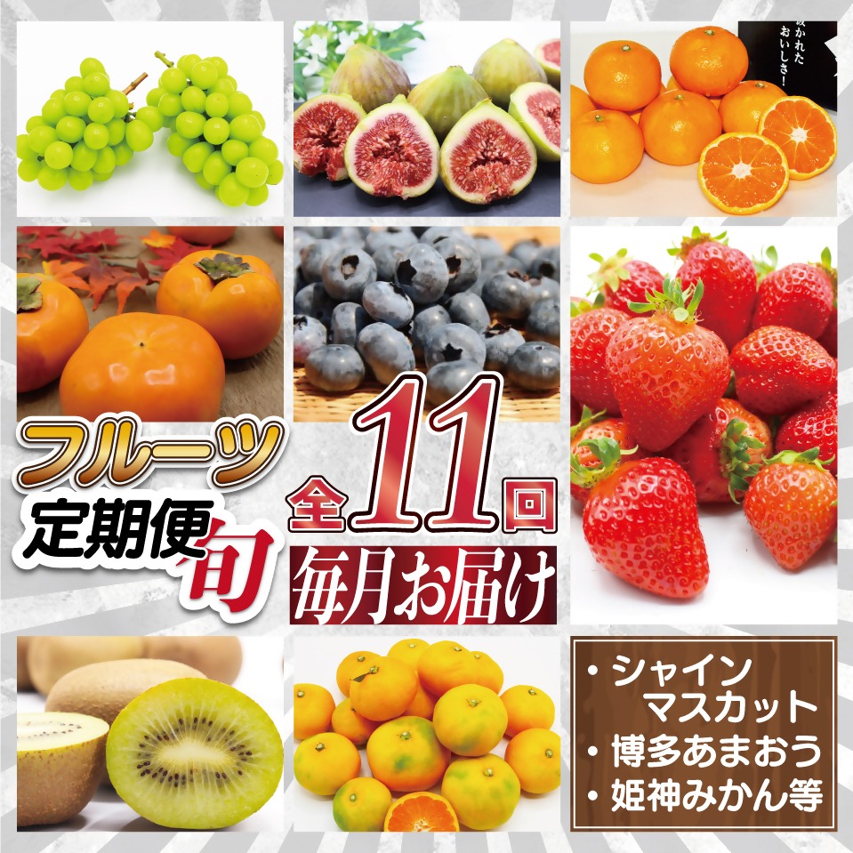 【ふるさと納税】【定期便/年11回】JAむなかた厳選！旬のフルーツ定期便【JAほたるの里】_HB0171 送料無料<br>旬 旬の時期 定期便 おいしい フルーツ 果物 お土産 美味しい うれしい ボリューム お楽しみ