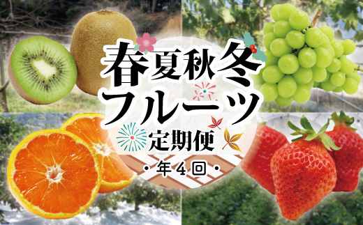 楽天市場 ふるさと納税 Kb0030 定期便 むなかた旬のフルーツ定期便 春夏秋冬年4回 あまおう いちご イチゴ 苺 キウイ シャインマスカット フルーツ くだもの 果物 姫の神 みかん ミカン 定期便 送料無料 福岡県宗像市