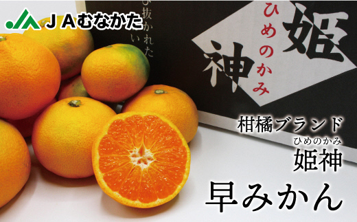 【楽天市場】【ふるさと納税】JAむなかたブランド姫の神「早味