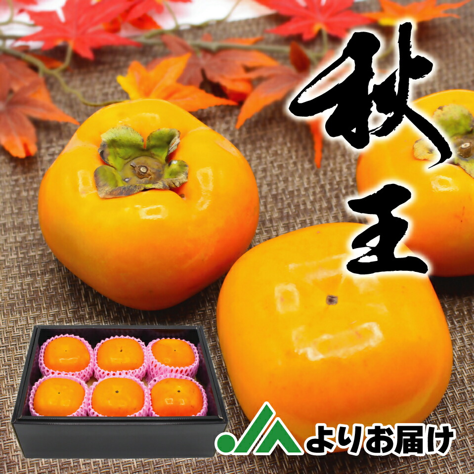 【ふるさと納税】福岡県ブランド柿「秋王」化粧箱約1.75kg【JAほたるの里】_HA1318 送料無料<br>ギフト 贈答 種なし かき カキ 甘い 果物 フルーツ