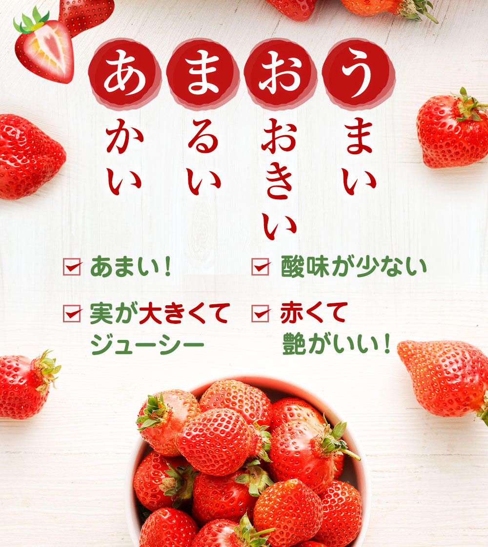 1月3日 6日発送 博多あまおう 約280g 4パック 送料無料 計1 12kg Ka0662