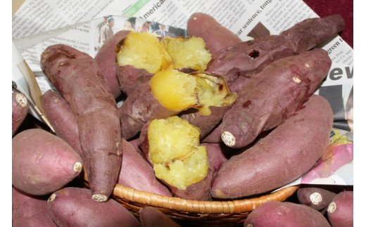 【ふるさと納税】石焼きいも「紅はるか」 糖度40度以上 九州産さつまいも【八豊】_HA0492　送料無料<br>ブランド芋 焼き芋  冷蔵 電子レンジ 非常食 甘い おやつ 美味しい サツマイモ