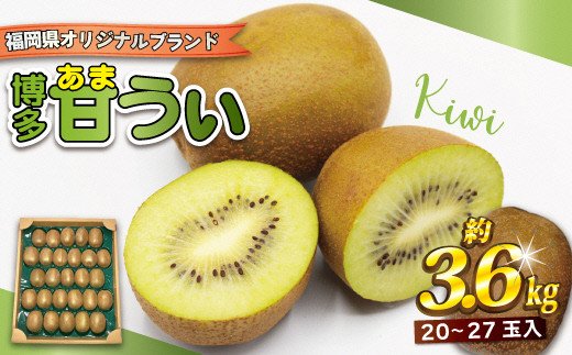 【ふるさと納税】【2025年収穫分】福岡県ブランド！キウイフルーツ「博多甘うぃ」1箱約3.6kg【ほたるの里】_HA0434 送料無料<br>大きい果実 黄色味を帯びた果肉 福岡県のオリジナル品種