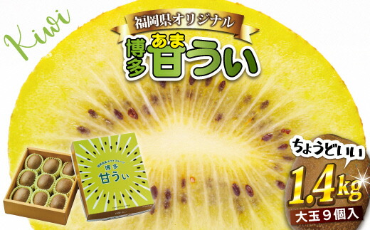【ふるさと納税】【ギフト】福岡県ブランド！キウイフルーツ「博多甘うぃ」約1.4kg化粧箱入り【JAほたるの里】_HA0943 送料無料<br>大きい果実 黄色味を帯びた果肉 福岡県のオリジナル品種
