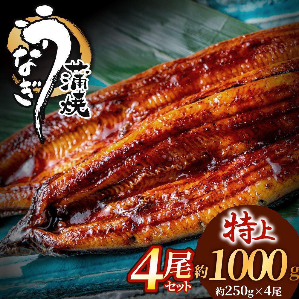 【ふるさと納税】数量限定！うなぎ蒲焼き4尾セット(約250g×4尾セット)【魚住商店】_HA1494 限定 特上 鰻 ウナギ 人気 特大 炭火 うなぎの蒲焼 丑の日 土用 真空 宗像