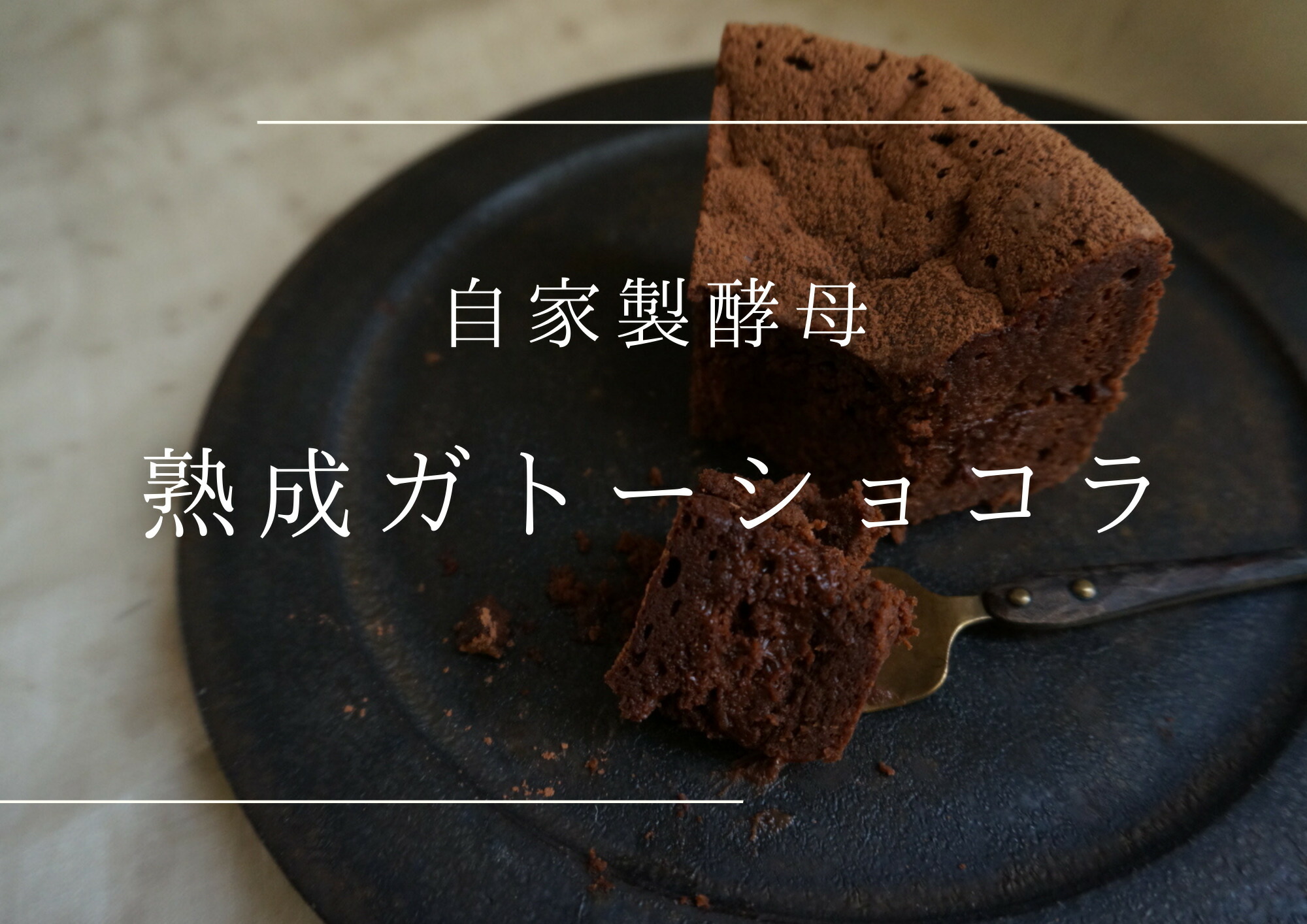 【ふるさと納税】熟成ガトーショコラ【たねのおやつ】_HA1675 送料無料 デザート 自家製酵母 オーガニック 福岡県宗像市 宗像市 福岡 宗像