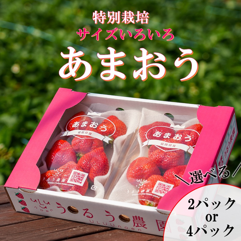 【ふるさと納税】【先行予約受付中】【2026年12月以降順次発送】特別栽培あまおう2パック(サイズミックス)【うるう農園】_HA1967｜福岡県宗像市