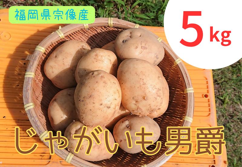【ふるさと納税】循環型有機肥料で育った男爵いも　5kg【アグリCATS】_HA1350 送料無料野菜 じゃがいも じゃがバター ポテトサラダ 肉じゃが オムレツ 宗像市 農薬不使用画像
