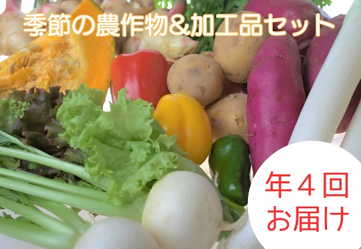【ふるさと納税】【定期便/年4回 】有機肥料で育った季節の農産物&加工品のセット【アグリCATS】_HB0115 送料無料無添加 農薬不使用 野菜 果物 加工品 フルーツ セット 宗像市画像