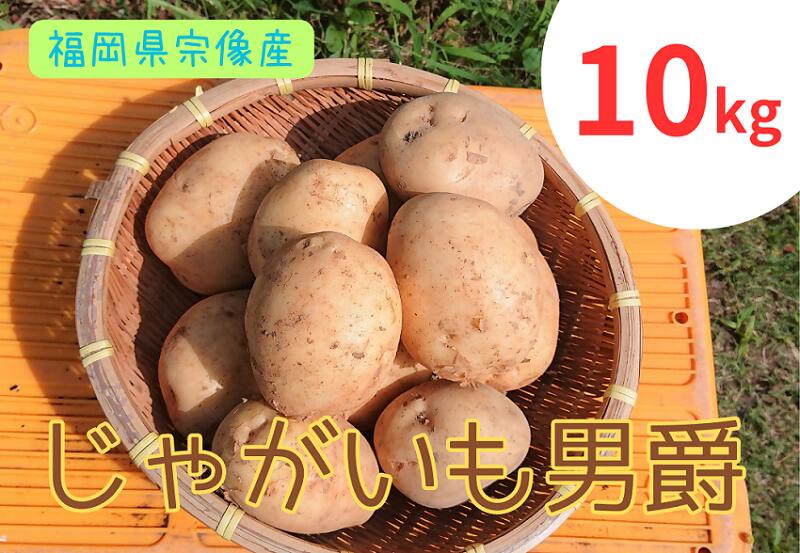 【ふるさと納税】循環型有機肥料で育った男爵いも　10kg【アグリCATS】_HA1349　送料無料野菜 じゃがいも じゃがバター ポテトサラダ 肉じゃが オムレツ 宗像市 農薬不使用画像