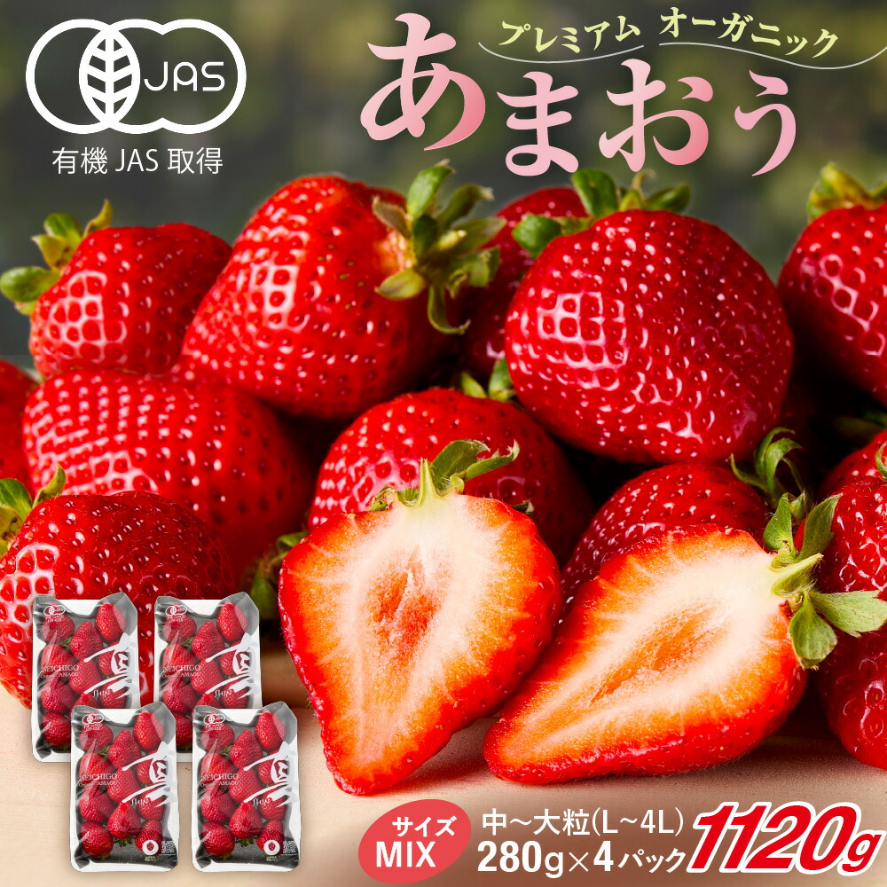 【ふるさと納税】オーガニックあまおう 「いせいちご」 おまかせ4パック（MIX）【伊世いちご畑】_HA1018　送料無料 苺 イチゴ フルーツ 化学農薬不使用 化学肥料不使用 冷蔵 ご褒美 おやつ 朝食 デザート