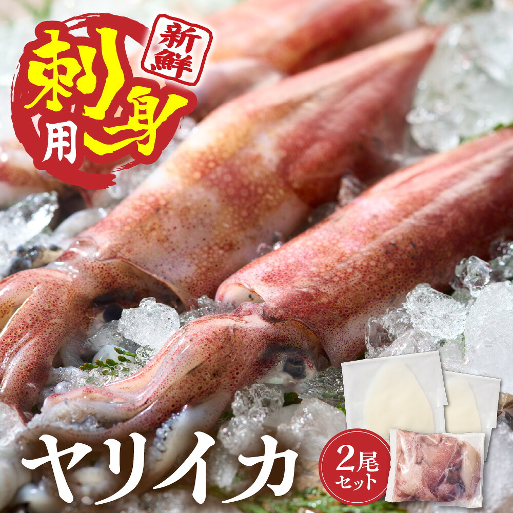【楽天市場】【ふるさと納税】刺身用 新鮮ヤリイカ2杯セット(宗像鐘崎産)【マルケイ水産】_HA0416 イカ 烏賊 生食 刺身 ゲソ 処理済み 冷凍 宗像 福岡 ：福岡県宗像市