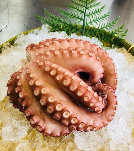 【ふるさと納税】宗像産地ダコ丸ごとボイル【約1kg】【マルケイ水産】_HA0997 送料無料福岡県 宗像市 新鮮 お刺身 タコ たこ刺し タコ料理 酒の肴 アレンジ｜福岡県宗像市