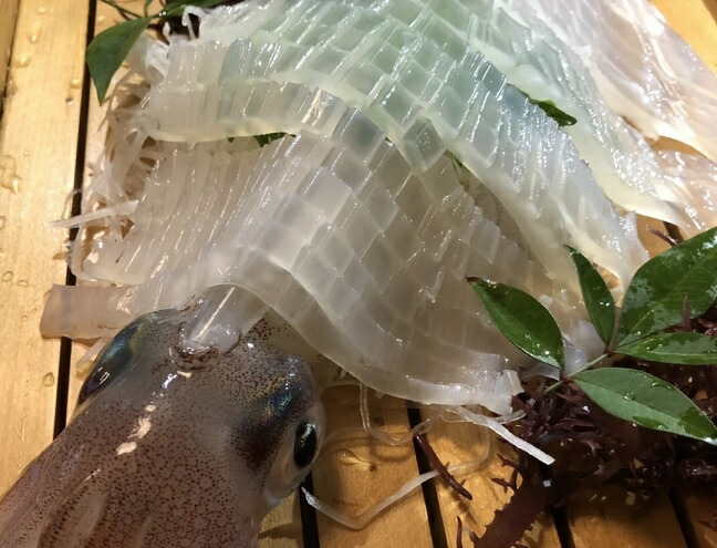 【ふるさと納税】【レビューCP対象】刺身用　新鮮ヤリイカ2尾セット(宗像鐘崎産)【マルケイ水産】_HA0416 送料無料<br>福岡県 宗像市 新鮮 お刺身 イカ刺し ゲソ イカ料理 酒の肴 アレンジ