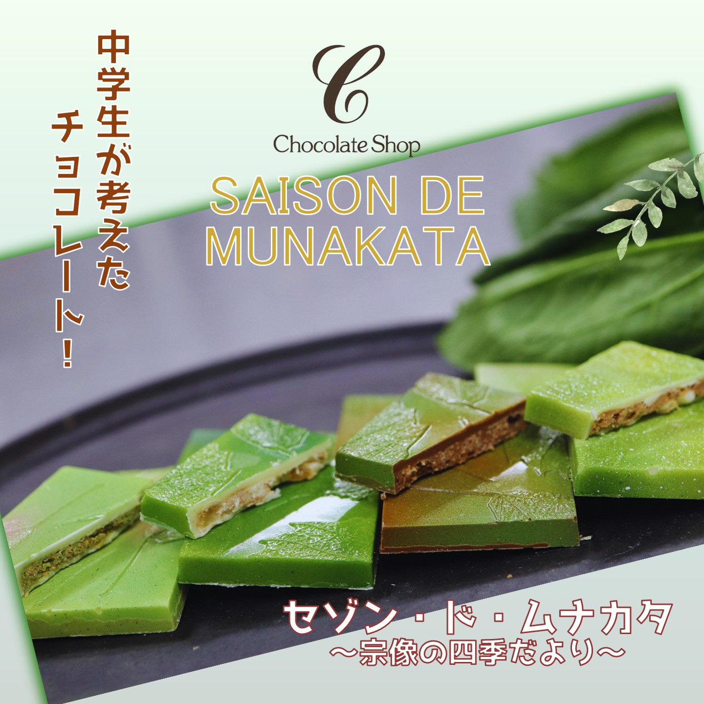 【ふるさと納税】【道の駅むなかた】チョコレート 「セゾン・ド・MUNAKATA」 ～宗像の四季だより～ ８枚入り_HA1805_HA1805　ショコラ きなこ ピスタチオ ヘーゼルナッツ いちじく 甘夏 塩 高級 ご褒美 プレゼント 贈り物 記念日｜福岡県宗像市