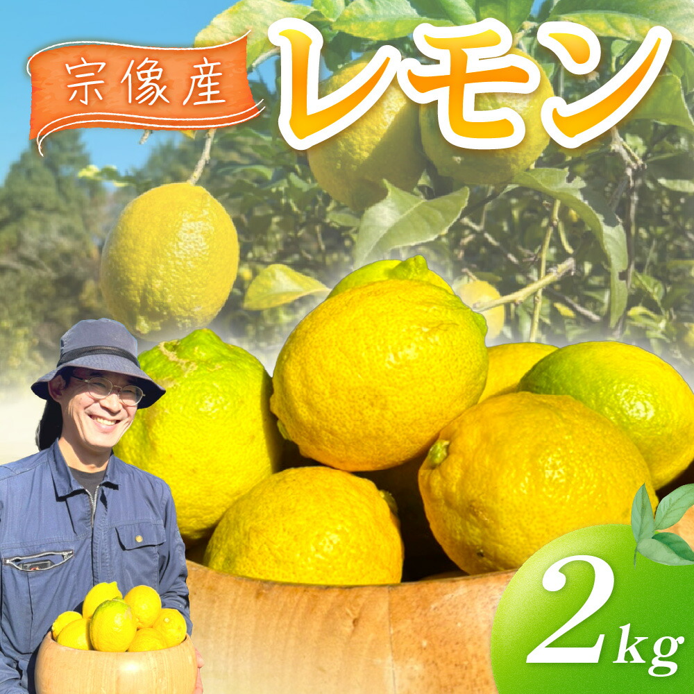 【ふるさと納税】【2026年11月～5月順次発送】【先行予約】【先行受付】宗像産レモン2kg【道の駅むなかた】_HA1817 レモン 農薬不使用 国産 宗像産 ジュース ドレッシング 福岡県宗像市 宗像市 福岡 宗像 ふるさと納税 果物
