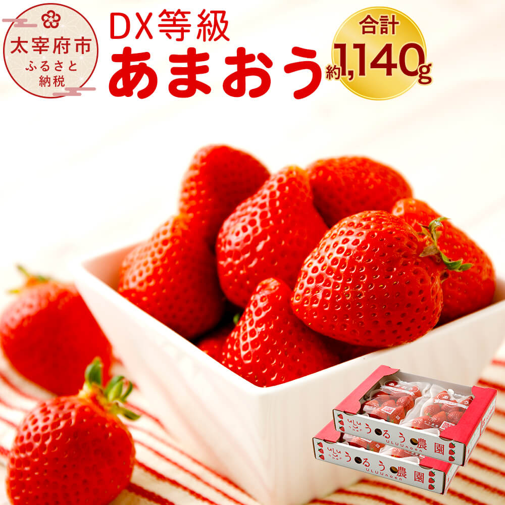 【楽天市場】【ふるさと納税】冷凍 あまおう 2kg いちご イチゴ 苺 フルーツ 果物 九州産 福岡県産 太宰府市 送料無料 : 福岡県太宰府市