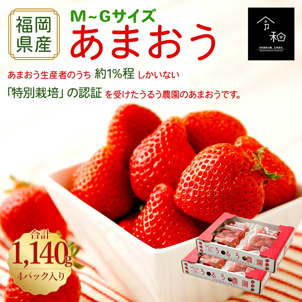 楽天市場 ふるさと納税 予約 21年12月上旬頃より順次発送予定 あまおう 4パック 合計1 140g M Gサイズ いちご イチゴ 苺 フルーツ 果物 冷蔵 九州産 福岡県産 太宰府市 送料無料 福岡県太宰府市