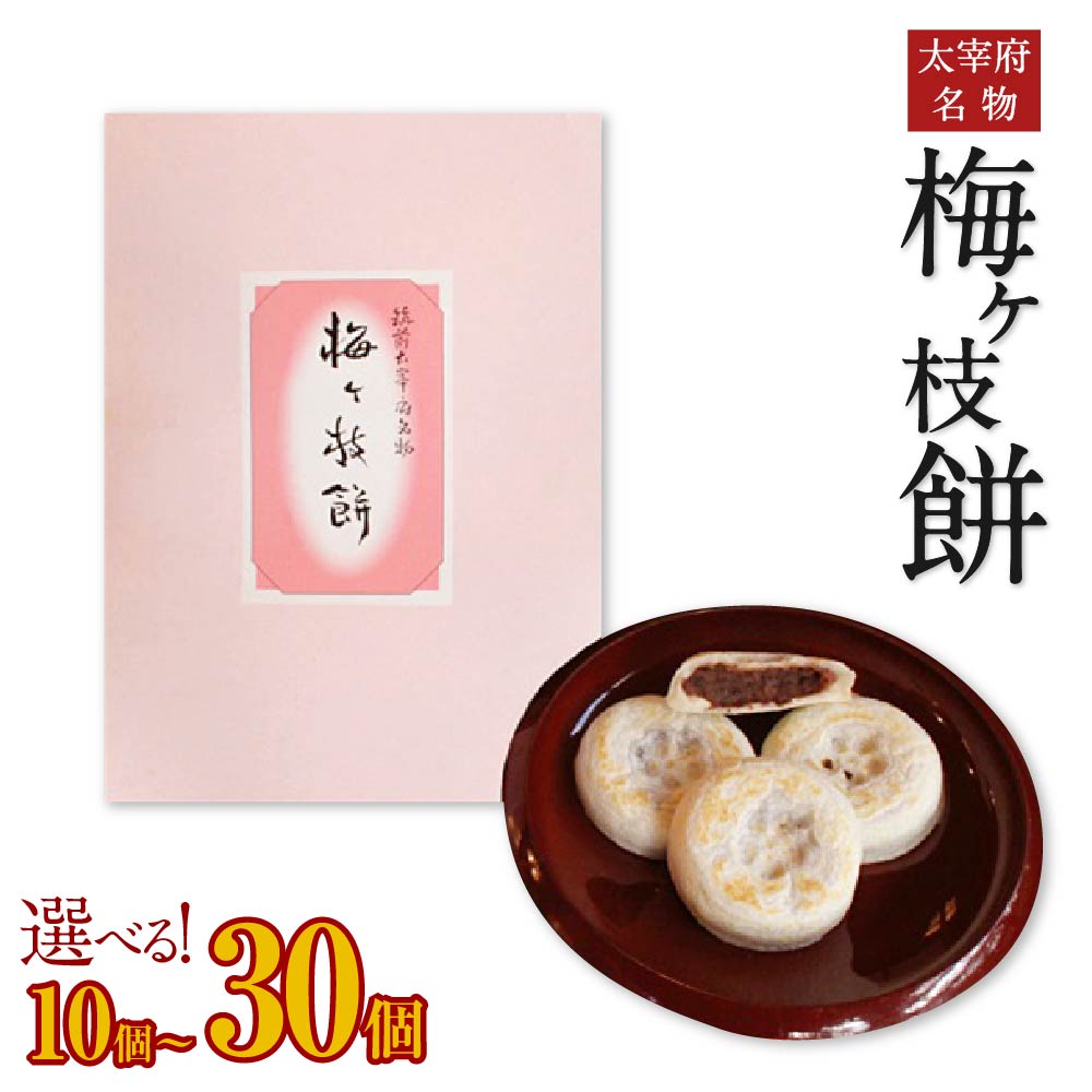 【ふるさと納税】太宰府名物 梅ヶ枝餅 <選べる内容量> 10個 / 20個 / 30個入り うめがえもち もち お菓子 焼餅 和菓子 小豆 あん 餡 国産 九州産 送料無料|福岡県太宰府市