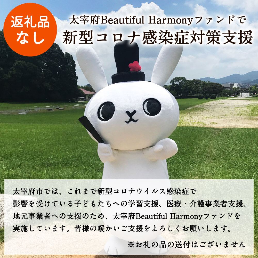 コンビニ受取対応商品 返礼品なし 太宰府 Beautiful Harmonyファンドで新型コロナ感染症対策支援 太宰府市 支援 応援 返礼品はございません 福岡県太宰府市 全ての Mercurytechnologies Mn Com