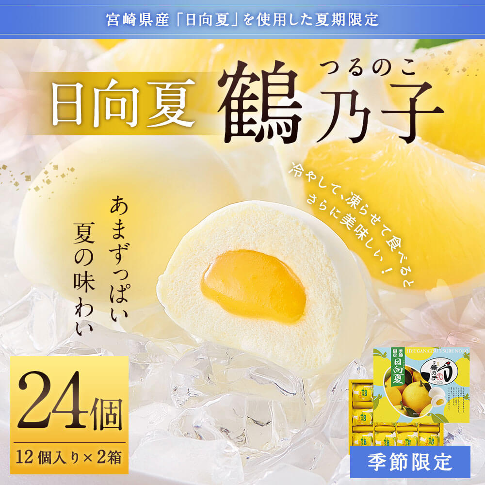 ふるさと納税 季節限定 日向夏鶴乃子 24個 12個入り 2箱 和菓子 個包装 宮崎県産日向夏使用 お菓子 銘菓 お取り寄せ スイーツ つるのこ 黄味あん 冷蔵 送料無料 Napierprison Com