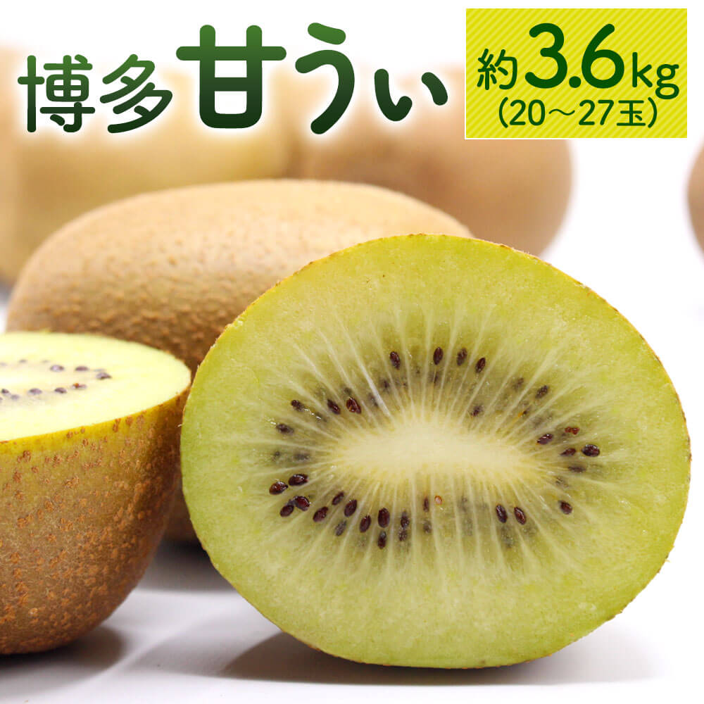【ふるさと納税】＜予約＞博多 甘うぃ キウイフルーツ 約3.6kg 【2025年11月上旬～11月下旬発送予定】  福岡県産 追熟 キウイ 果物 フルーツ 九州産 国産 冷蔵 送料無料