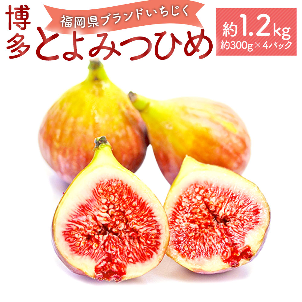 【ふるさと納税】＜予約＞福岡県ブランドいちじく「博多とよみつひめ」 合計1.2kg  約300g×4パック【2025年8月下旬～10月下旬発送予定】  いちじく イチジク 無花果 果物 フルーツ お取り寄せ 国産 福岡県 九州 冷蔵配送 送料無料