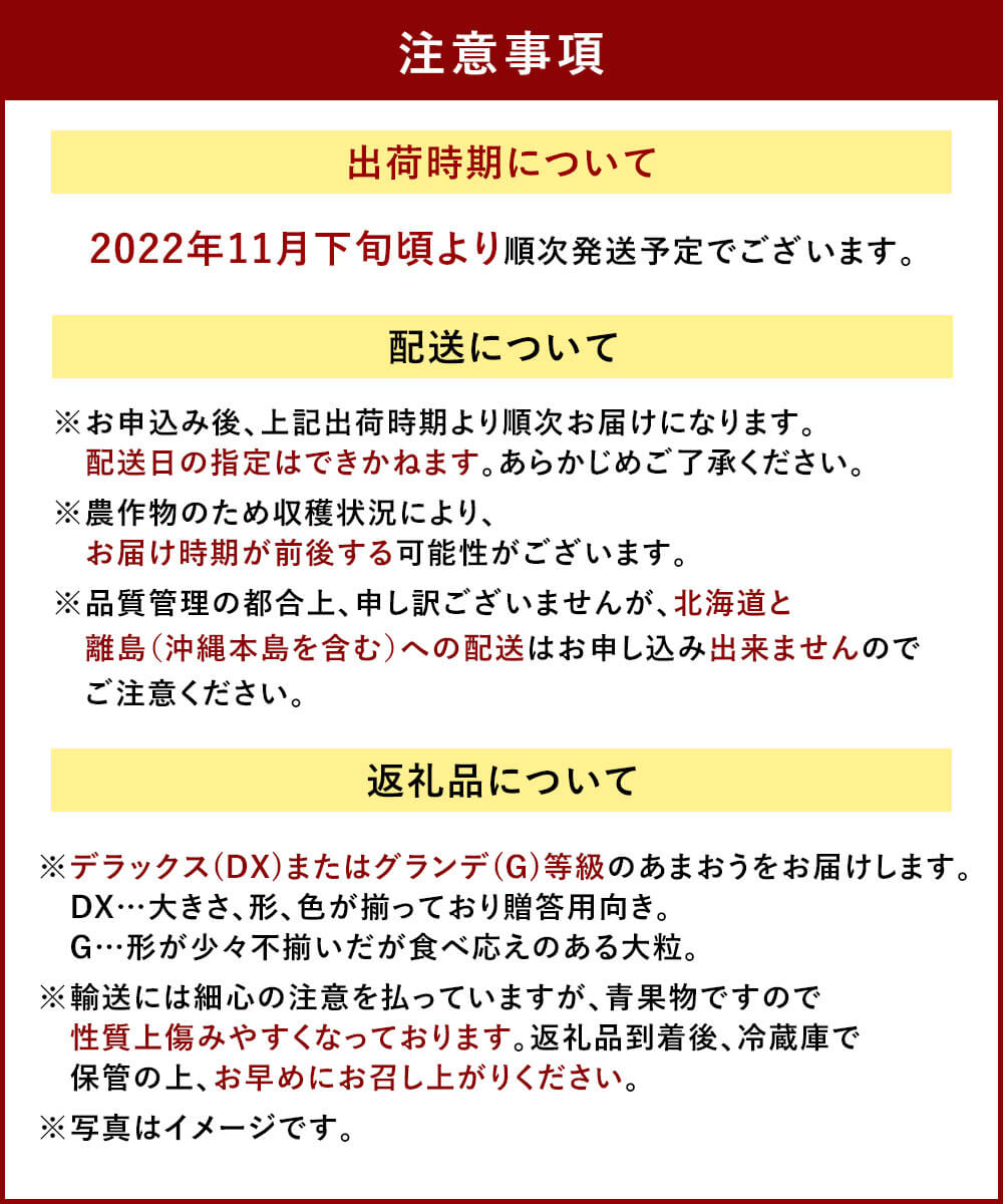 市場 ふるさと納税 福岡産 2パック 2022年11月下旬頃より順次発送予定 合計約500g〜540g 1パックあたり約250g〜約270g あまおう  冬