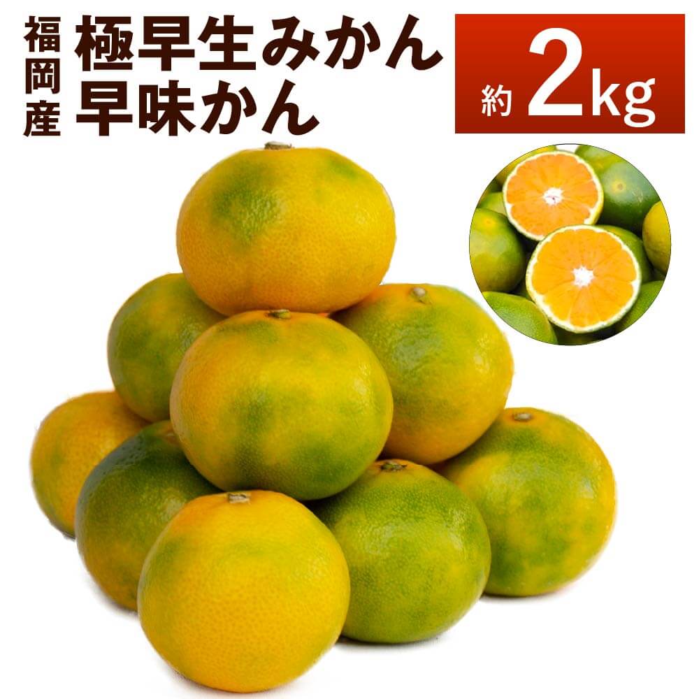 【ふるさと納税】【予約】福岡産 極早生みかん・早味かん 約2kg 【2026年9月上旬～9月下旬発送予定】 みかん ミカン 早生みかん 早味かん 果物 くだもの フルーツ デザート スイーツ 送料無料｜福岡県太宰府市