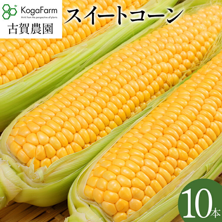 【ふるさと納税】 朝採り スイートコーン  10本 朝採り 高糖度 期間限定 甘い あまい フルーツ並 朝どり 朝採れ 朝どれ スイートコーン コーン 旬 とうもろこし 農家直送 野菜 自宅用 家庭用 トウモロコシ