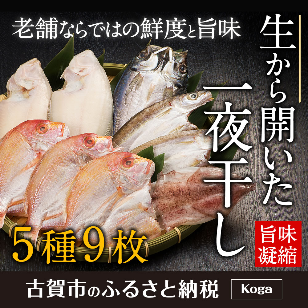 ふるさと納税 生から開いた一夜干しセット 5種9枚 干物 冷凍 5種類 アジ 連子鯛 カマス 水カレイ ヤリイカ 送料無料 Napierprison Com