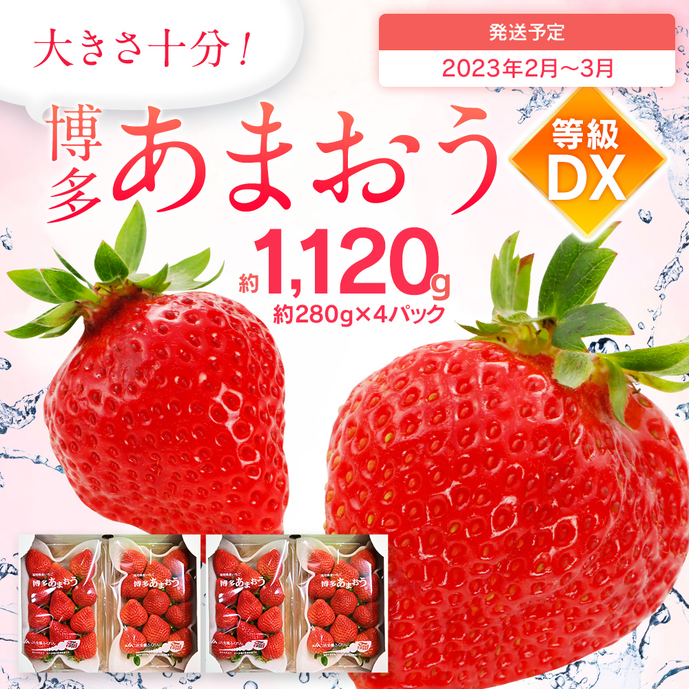 市場 ふるさと納税 福岡県産 九州 合計約1,120g あまおう いちご DX 約280g×4パック イチゴ 先行予約