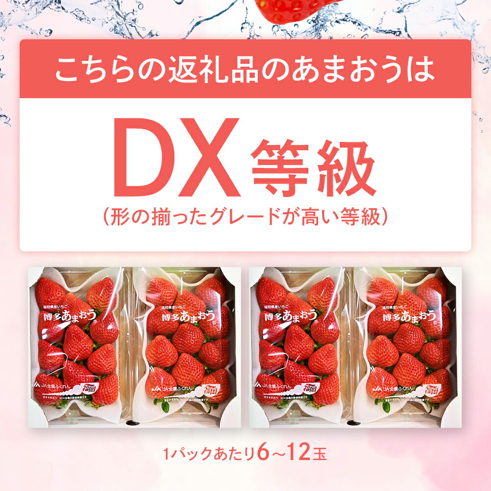 市場 ふるさと納税 先行予約 いちご イチゴ 九州 福岡県産 合計約1,120g あまおう 約280g×4パック DX