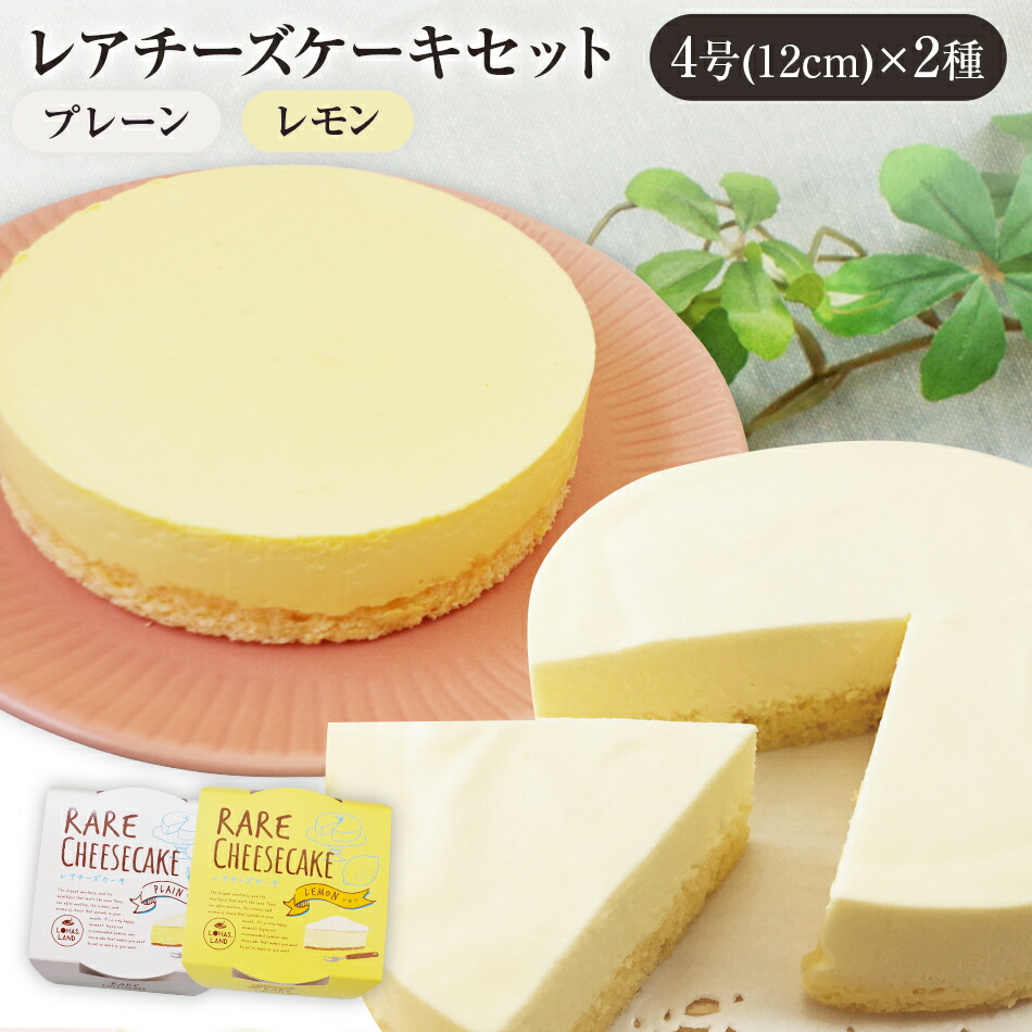チーズケーキ (プレーン) ５号 ２個 アウトレット 大阪前田製菓 工場直売 ♢チーズケーキ (プレーン) 5号 2個 アウトレット 大阪前田