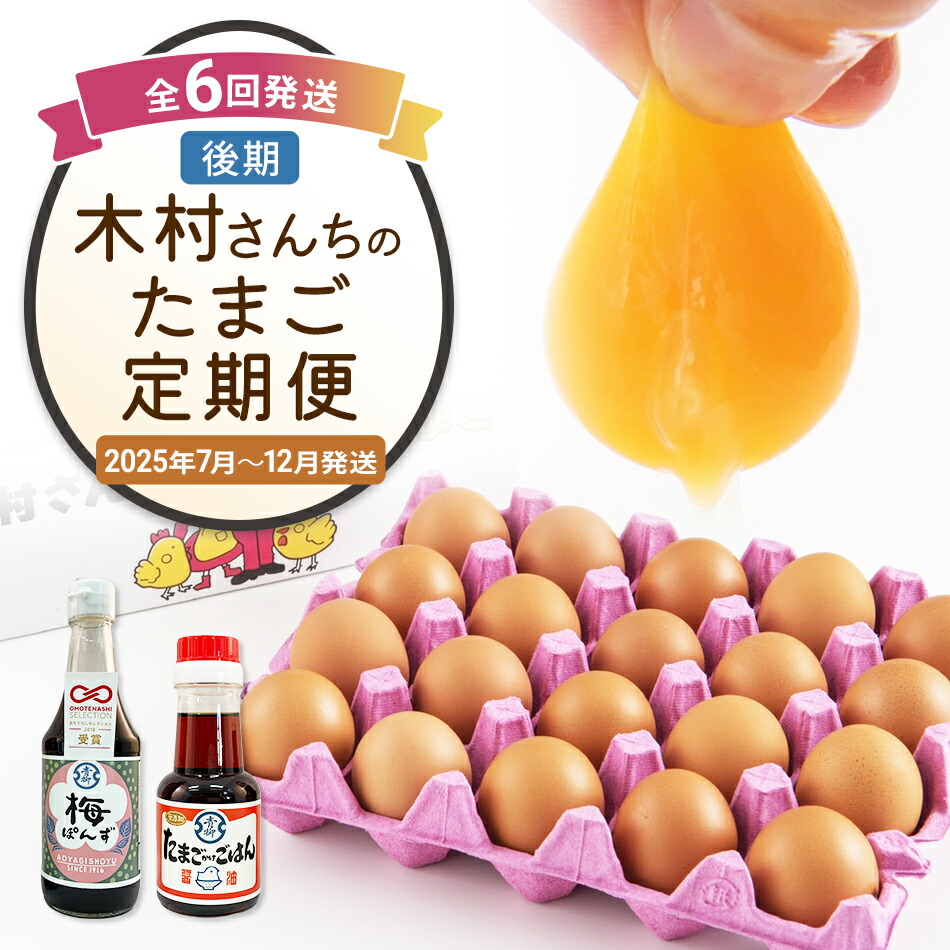 【ふるさと納税】木村さんちのたまご後期定期便 6回発送（初回のみ醤油付き・たまご20個 M～L）20個×6回 合計120個 定期便 6ヶ月 卵 赤玉 送料無料 【2025年7月～12月の計6回お届け】