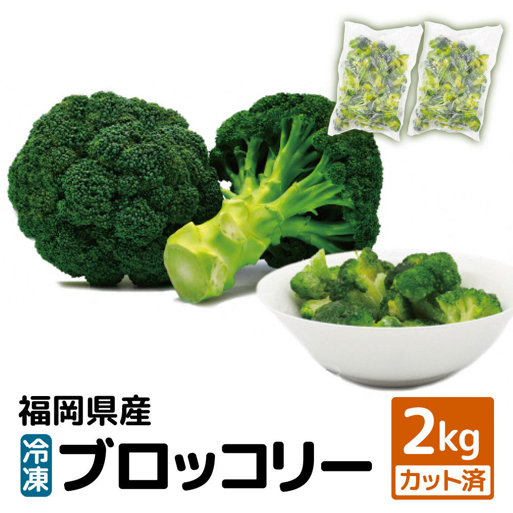 ふるさと納税 福岡県産 冷凍ブロッコリー 合計2kg 1kg 2袋 カット済み ブロッコリー 野菜 冷凍野菜 冷凍 カット野菜 簡単 調理 国産 九州産 送料無料 C2257 Andapt Com