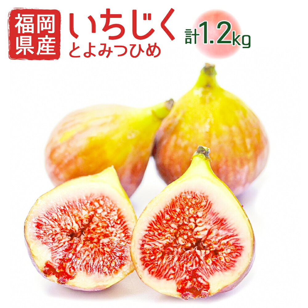 【ふるさと納税】福岡県産 とよみつひめ 約300g×4パック 計約1.2kg イチジク いちじく 無花果 フルーツ くだもの 果物 冷蔵 福岡県産 送料無料 【2025年8月より順次発送】 [F2223a]