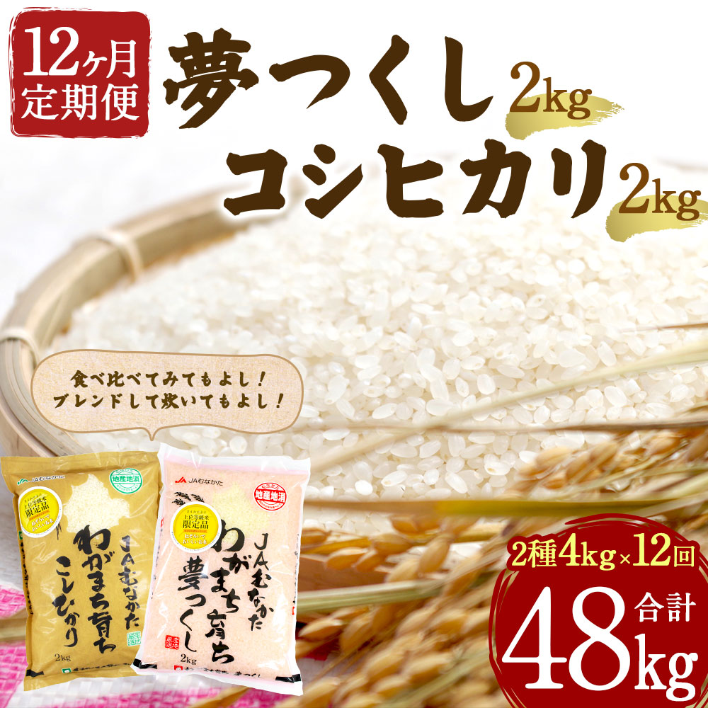 楽天市場 ふるさと納税 お米定期便 12ヶ月毎月お届け 夢つくし2kg コシヒカリ2kg 計4kg 12回 合計48kg 定期便 お米 白米 精米 夢つくし コシヒカリ 食べ比べ 12ヶ月連続 毎月4kg 福岡産 国産 送料無料 福岡県福津市