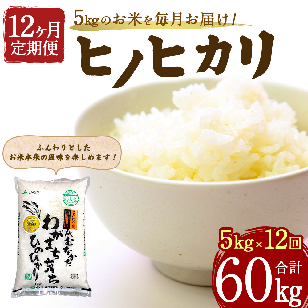 楽天市場 ふるさと納税 お米定期便 12ヶ月毎月お届け ヒノヒカリ 5kg 12回 合計60kg 定期便 お米 米 白米 精米 ひのひかり 12ヶ月連続 毎月5kg 福岡産 国産 送料無料 福岡県福津市