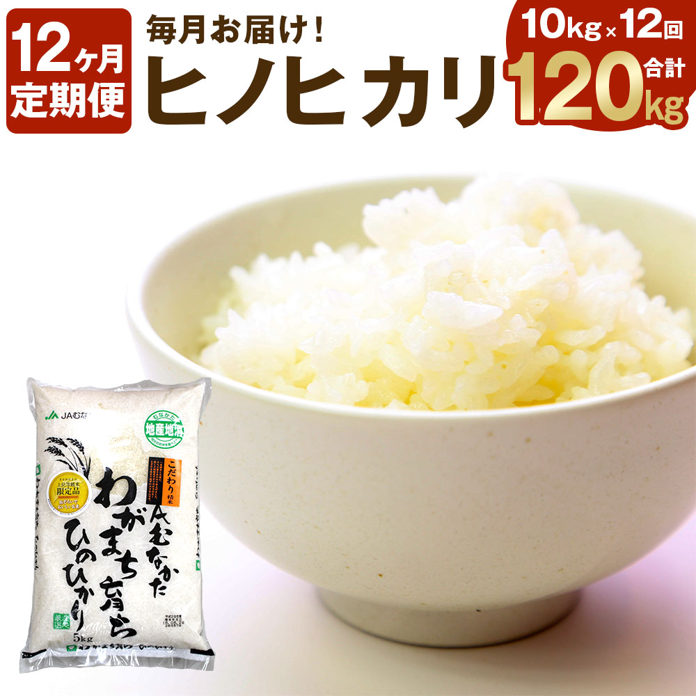 驚きの安さ ふるさと納税 お米定期便 12ヶ月毎月お届け ヒノヒカリ 10kg 12回 合計1kg 定期便 お米 米 白米 精米 ひのひかり 12ヶ月連続 毎月10kg 福岡産 国産 送料無料 C5090 送料無料 Blog Belasartes Br