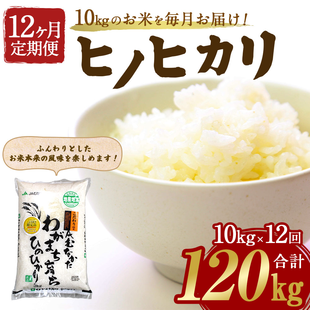 超美品 ふるさと納税 お米定期便 12ヶ月毎月お届け ヒノヒカリ 10kg 12回 合計1kg 定期便 お米 米 白米 精米 ひのひかり 12ヶ月連続 毎月10kg 福岡産 国産 送料無料 C5090 60 Off Www Lexusoman Com