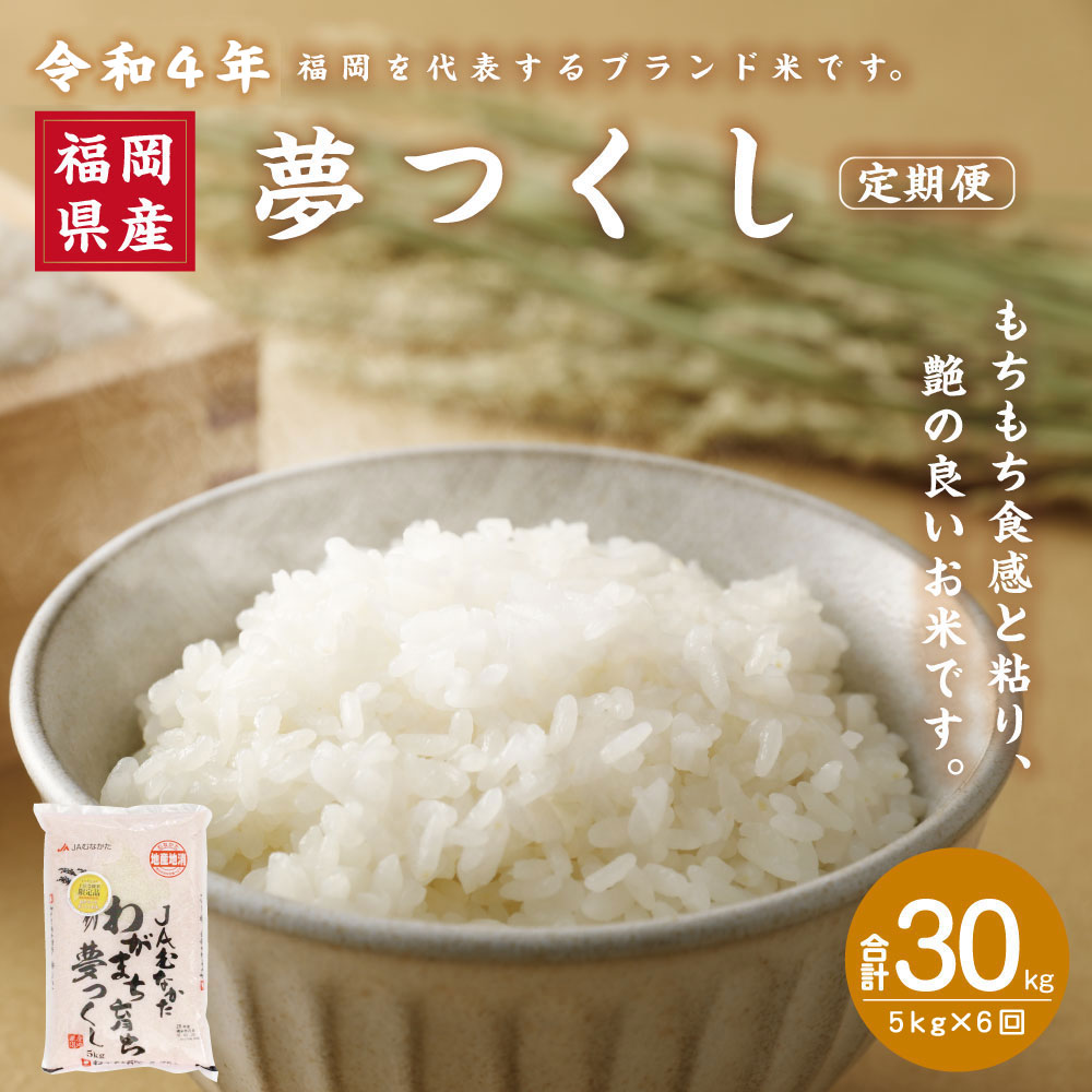 82%OFF!】 福岡県産 夢つくし 5kg×6回 合計30kg 定期便 令和4年産 ゆめつくし ユメツクシ 米 お米 白米 精米 福岡県産米  送料無料 D5042 www.dexion.com.au