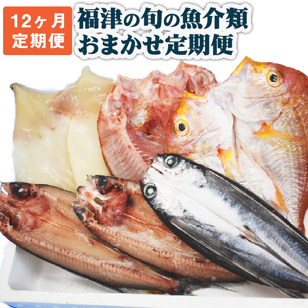 ふるさと納税 年12回毎月定期便 福津の旬の魚介類おまかせ定期便 魚 魚介類 イカ サザエ 真鯛 干物 セット 定期便 地魚 コウイカ アオリイカ 定期便 新鮮 冷蔵 冷凍 福津市産 送料無料 C6450 Voli Me