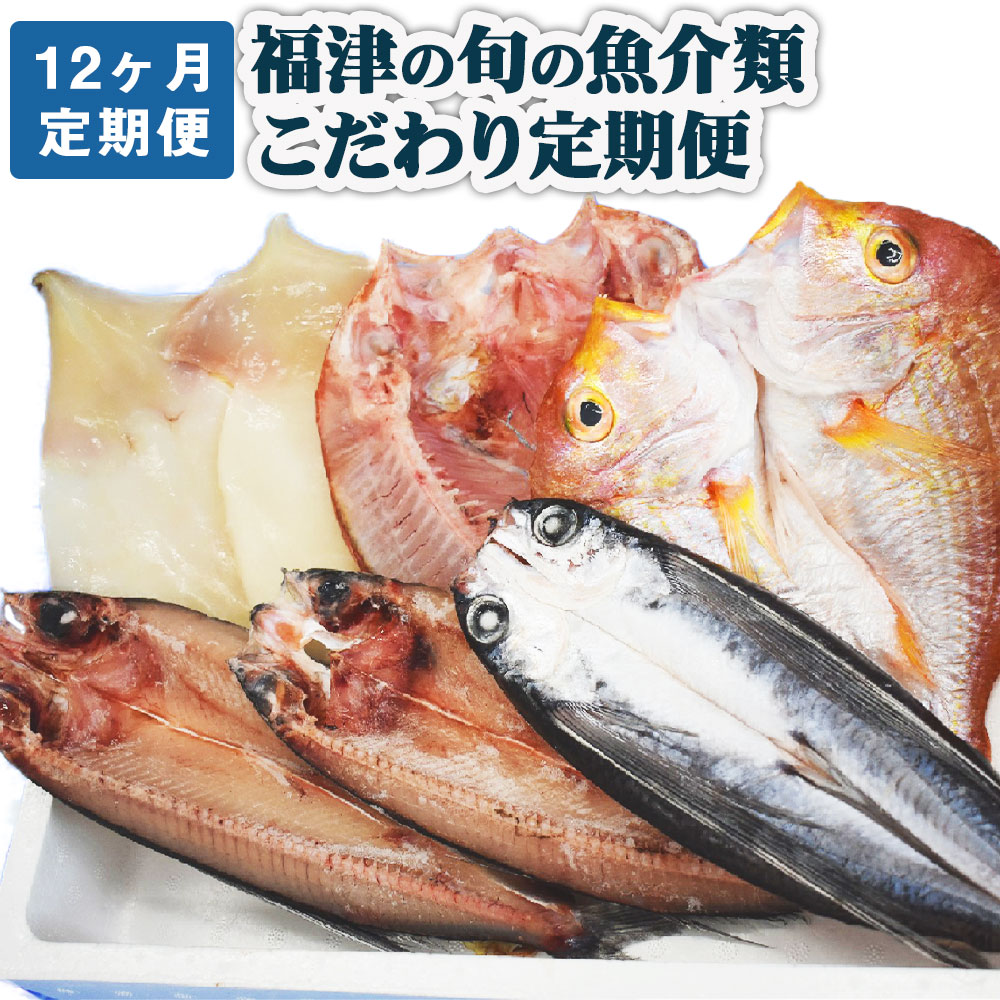 ふるさと納税 齢12イニング毎月定期手紙 福津の季節のうろくず介ジャンルこだわり定期便 魚 魚介類 牡蠣 いか サザエ 真鯛 干物 仕掛ける 地魚 コウイカ アオリイカ 定期便 目新しい 冷蔵 冷凍 福津マーケットクリエーション 送料無料 C6470 Sleepingpillsdirect Uk