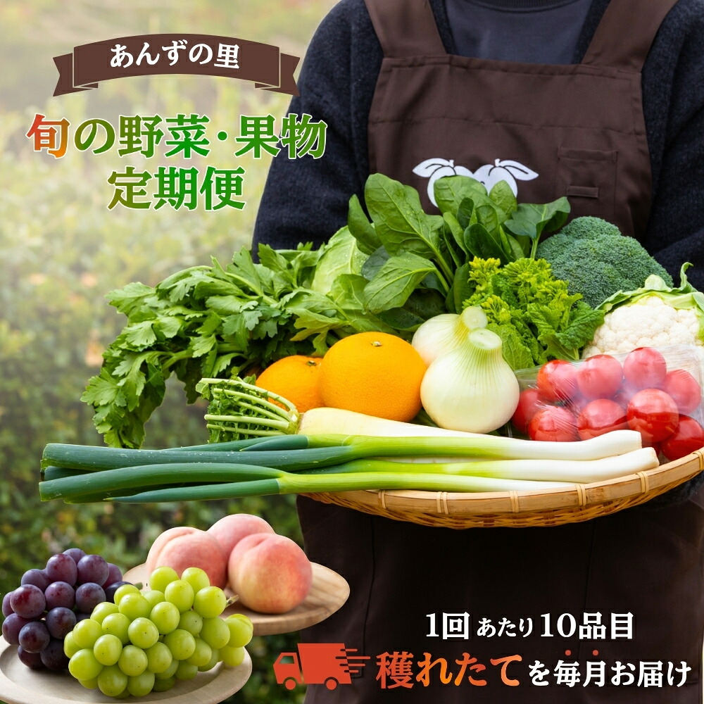 【ふるさと納税】【年12回毎月定期便】穫れたて! 旬の野菜・果物 定期便 冷蔵 あんずの里 10品目&times;12回 野菜 果物 フルーツ 旬 セット 詰め合わせ 産地直送 福岡県産 福津市産 九州産 国産 送料無料 [Z7010]｜福岡県福津市