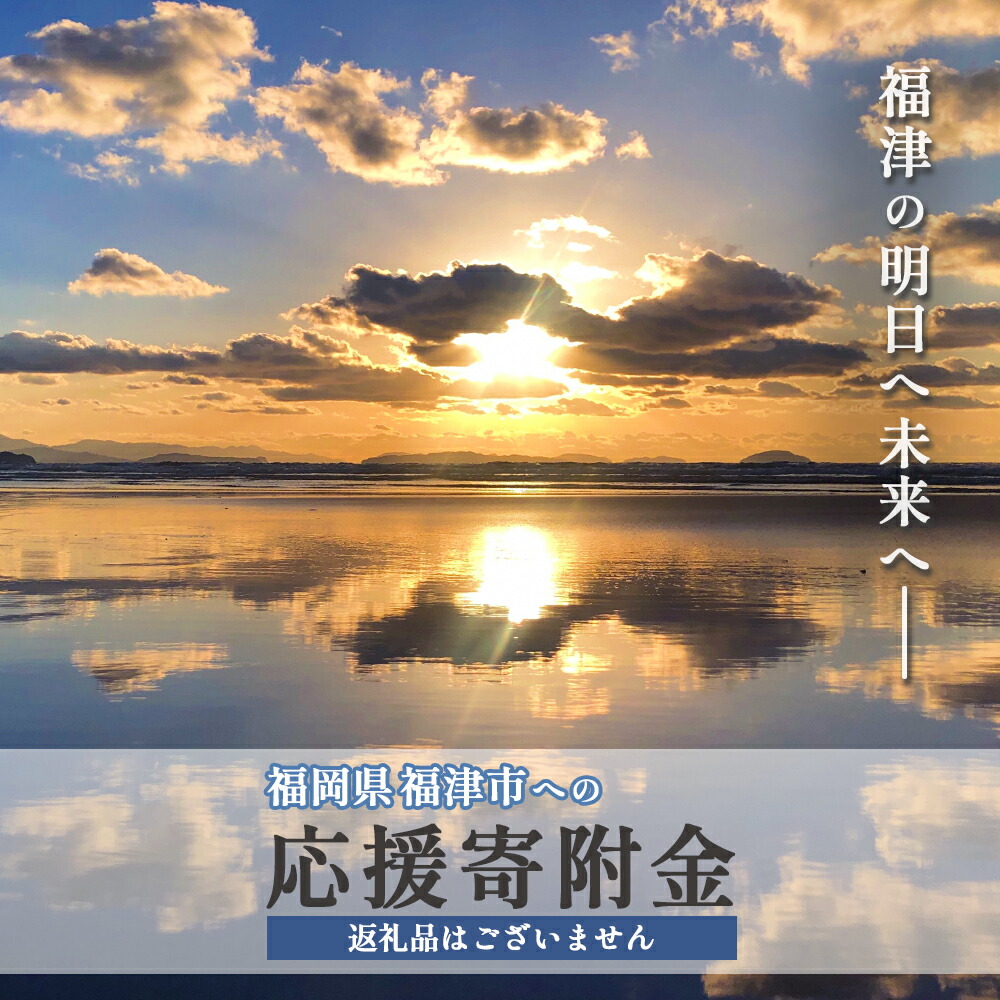 【ふるさと納税】 応援寄附金 福津市への寄附 3000円～ （返礼品はありません） 福岡県 福津市 返礼品なし [Z8003r][Z8005r][Z8010r][Z8050r][Z8100r][Z8200r][Z8500r]｜福岡県福津市