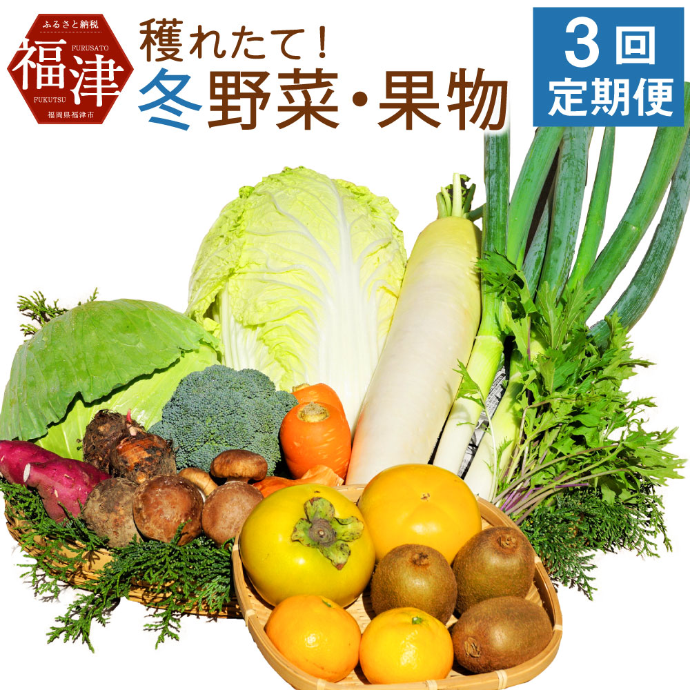 ふるさと納税 年3回定期便 穫れたて 冬野菜 果物 定期便 あんずの里 計3回 1月 2月 3月 10 12品目 3回 野菜 果物 フルーツ 旬 セット 詰め合わせ 福岡県産 九州産 国産 送料無料 C6281 Novix Com