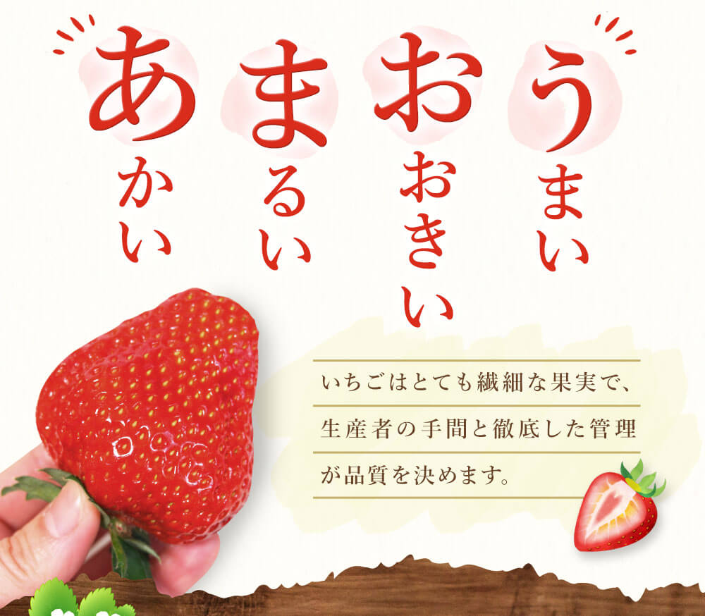 史上最も激安】 博多 あまおう 特別 8パック 合計2.2kg 約280g×8パック 1パックあたり4〜12玉 いちご 苺 イチゴ 福岡県 福津市 宗像 市 フルーツ 果物 くだもの 果実 冷蔵 送料無料 D2245 fucoa.cl