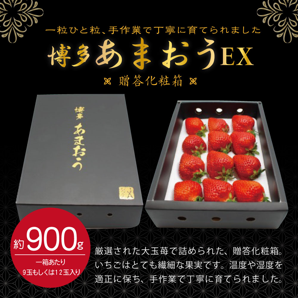 ふるさと納税 21老いらく12桂月差しだす 博多 あまおう Ex 述べる飾付け箱 450g 2箱 サム900g オランダ苺 いちご 苺 果物 くだもの フルーツ 大玉 福岡県製作 九州 国産 冷蔵 貨物輸送無料 C2248 Geo2 Co Uk